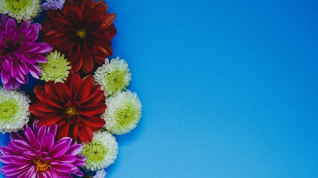 为引起了移 为引起了移