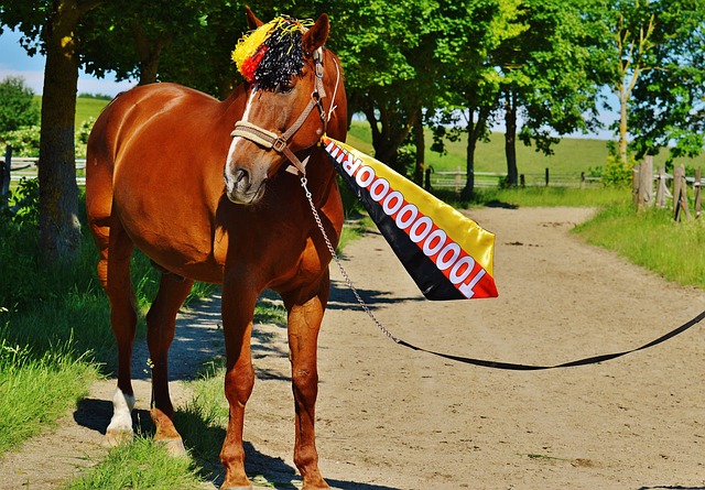 使每一位参 使每一位参