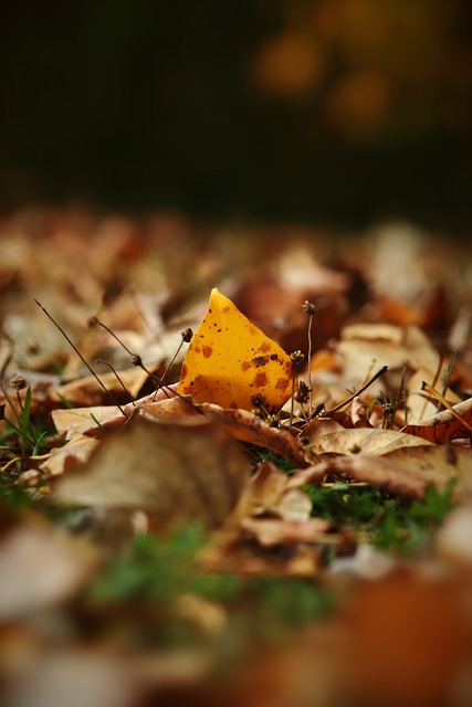 进攻和稳定 进攻和稳定