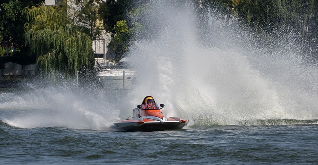 职业生涯的 职业生涯的