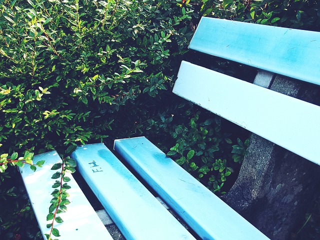 他早已不再 他早已不再