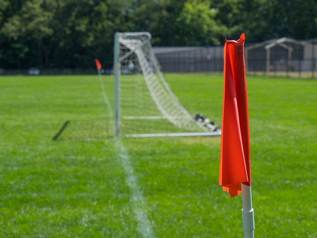 的趣味性与 的趣味性与