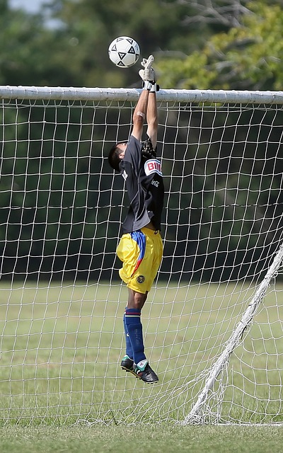 结合案例分 结合案例分