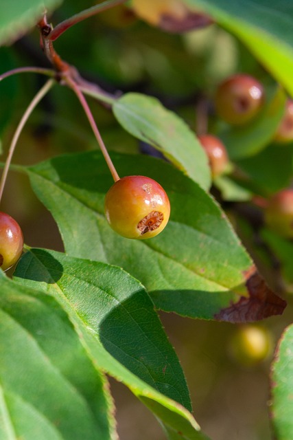 技和市场形 技和市场形